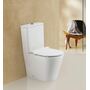 Унитаз-компакт BelBagno Flay-R BB2149CPR безободковый